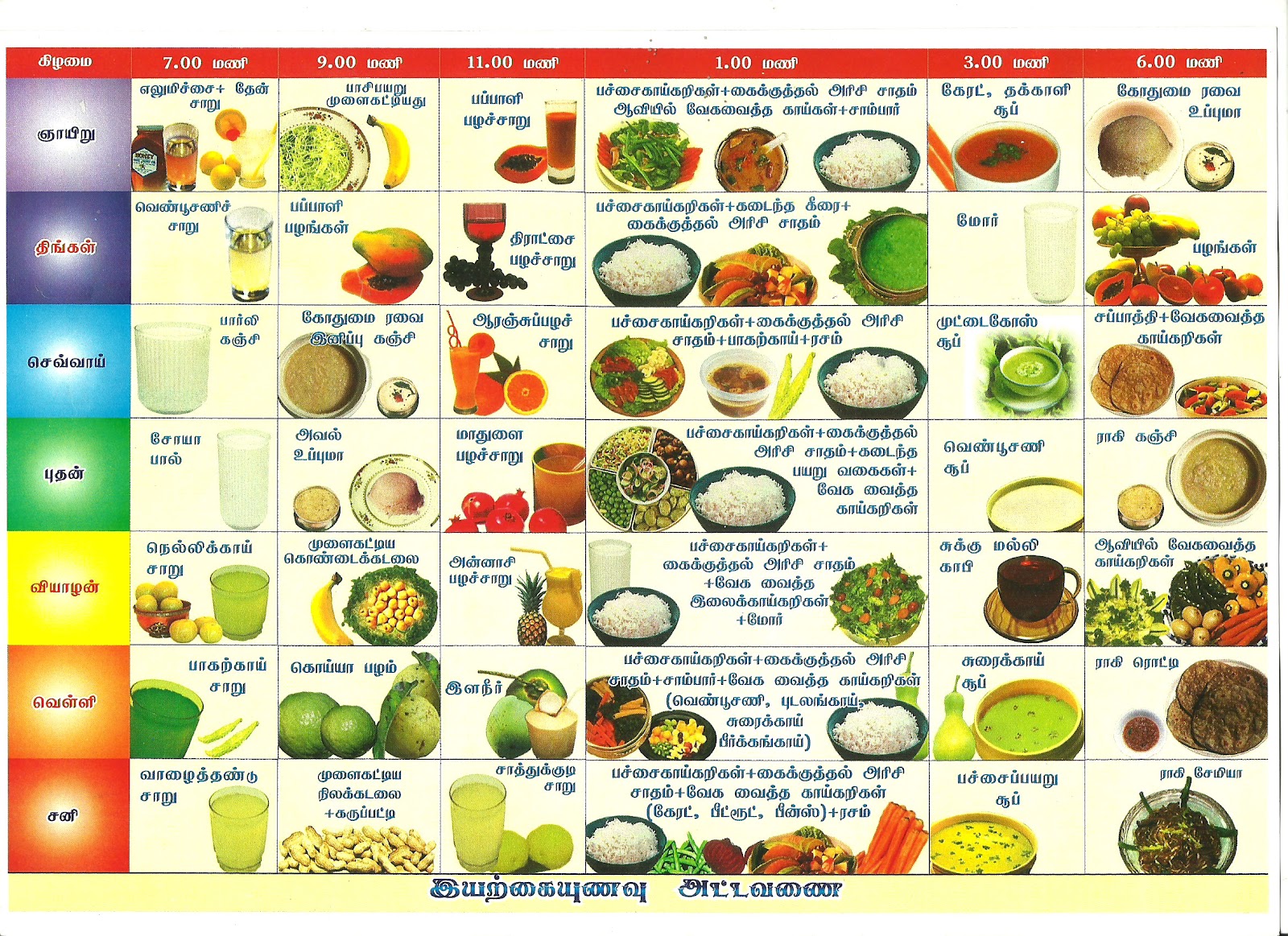 Patient Diet Chart