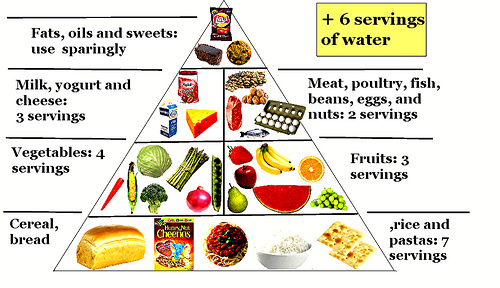 School Project Balanced Diet Chart