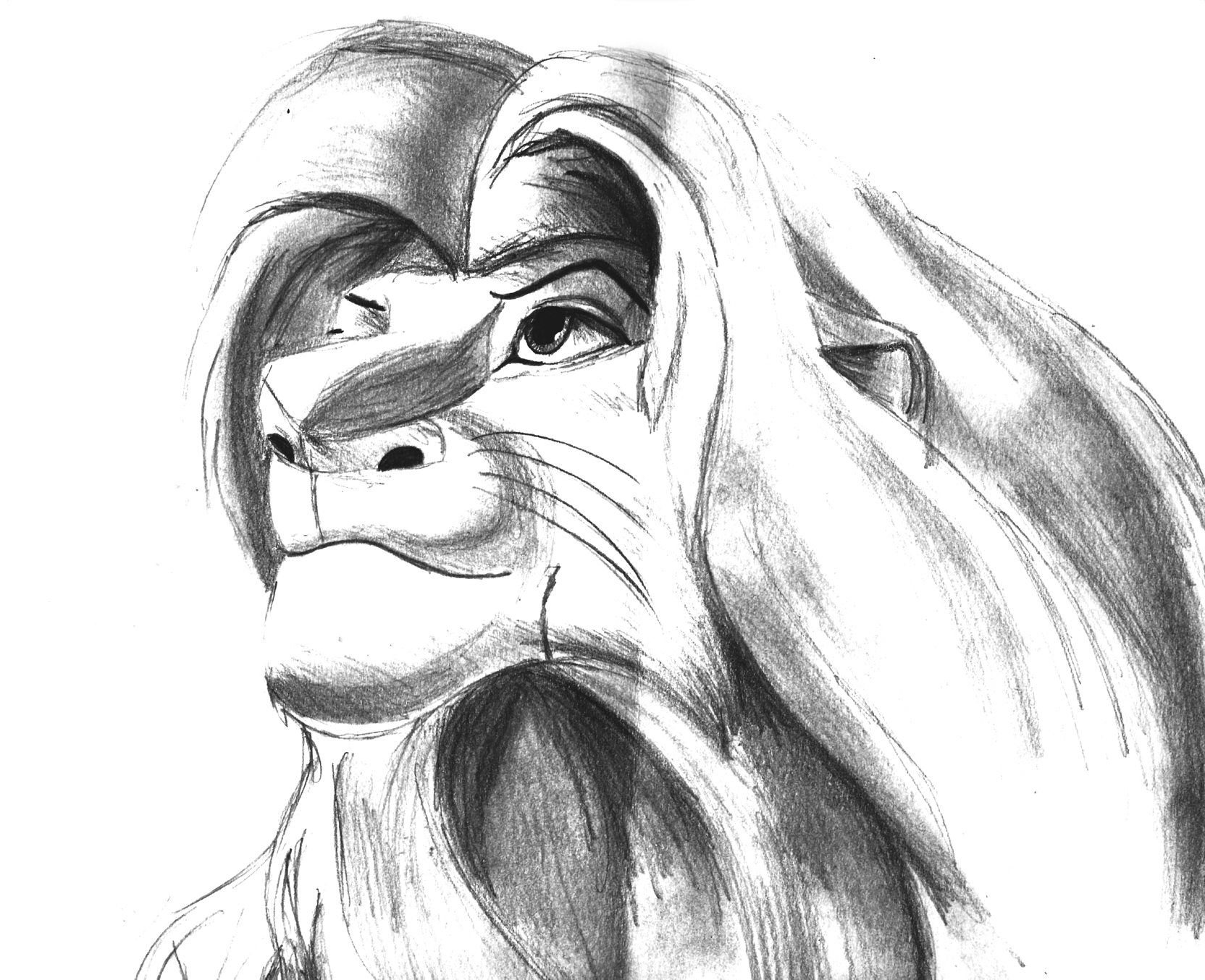 Simba Lion King Drawing - HD Photos Gallery
