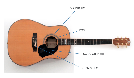 BC-104 � Guitar Anatomy | free guitar lesson 