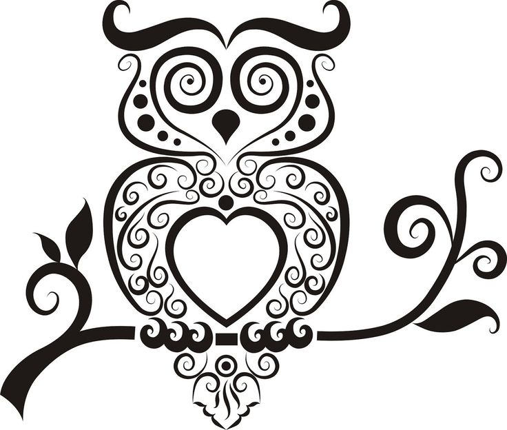 owl clip art black and white outline