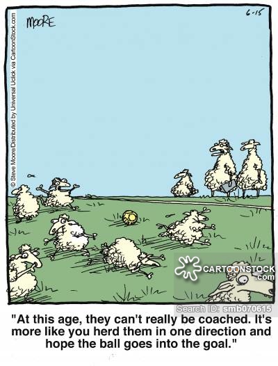 funny sheep cartoons - Clip Art Library