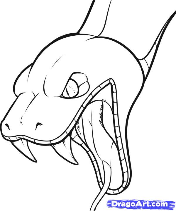How to Draw a Snake Head, Draw Snake Heads, Step by Step, Snakes 