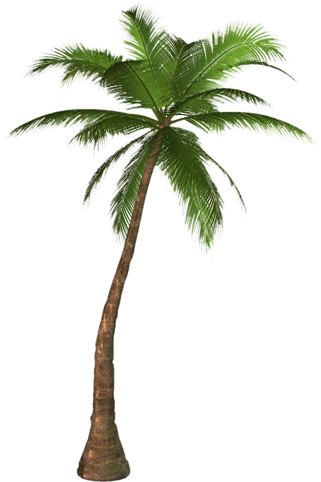 palm-tree-clip-art-1077031.png
