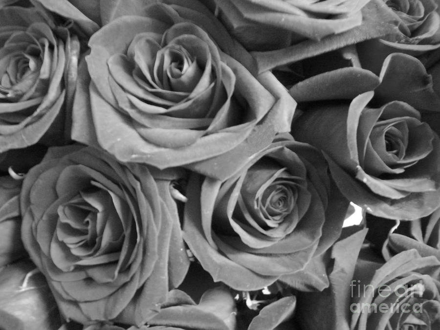 Roses On Your Wall Black And White by Joseph Baril
