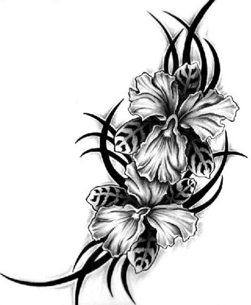 Hawaiian Flower Tattoo Designs - Plug  PiercingPlug  Piercing