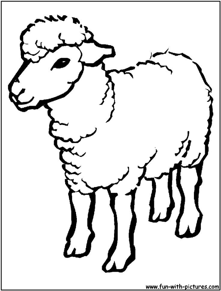 Cartoon Drawing Of A Sheep 