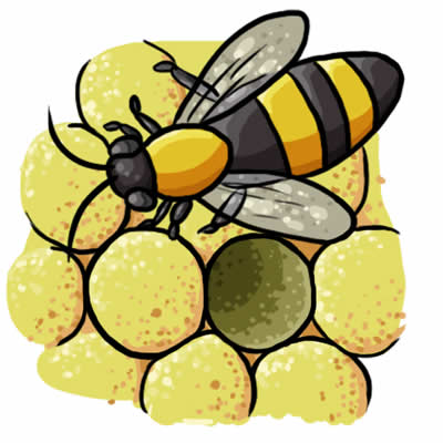 FREE Bee Clip Art 11