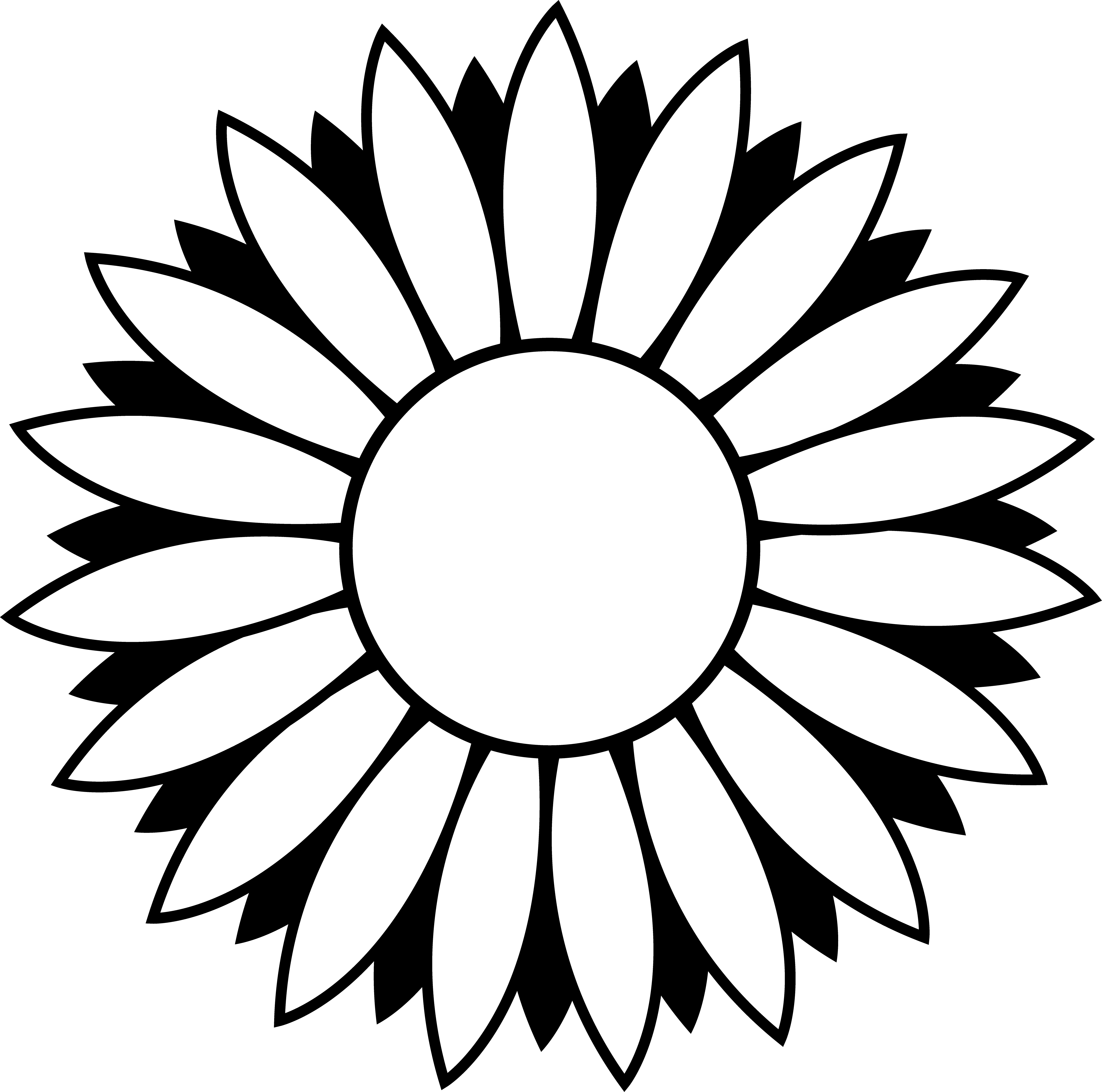 sunflower outline drawing