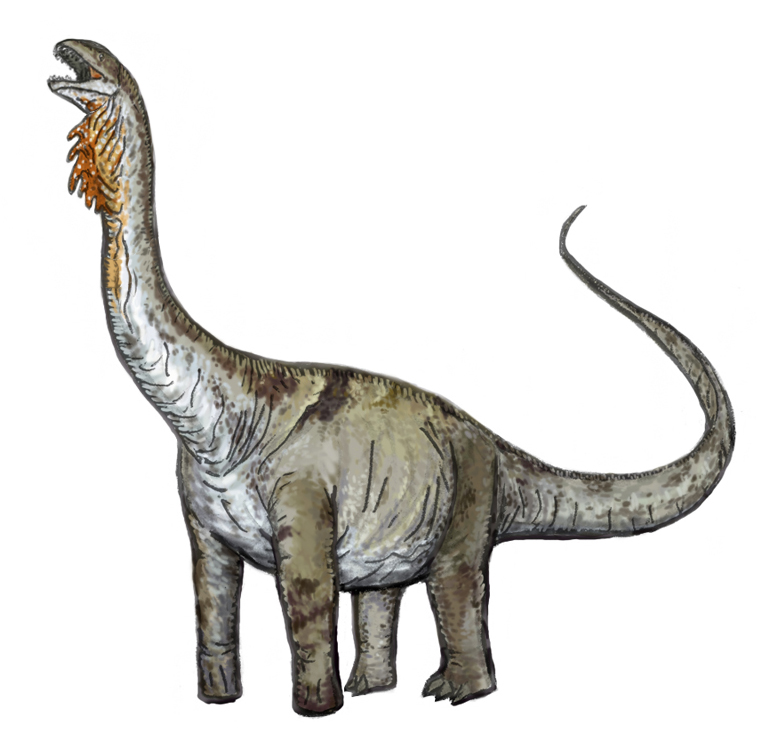 Wikipedia:WikiProject Dinosaurs/Image review - Wikipedia, the free 