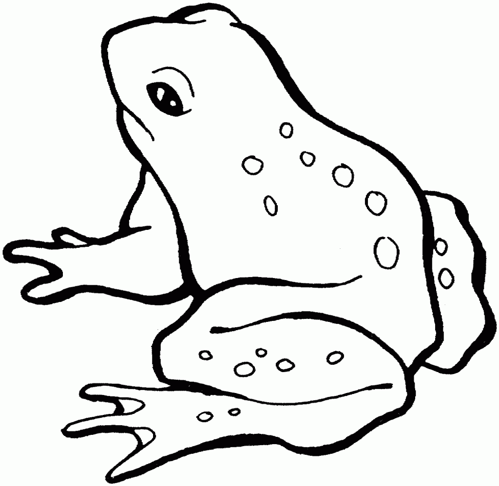 outline image of frog Clip Art Library
