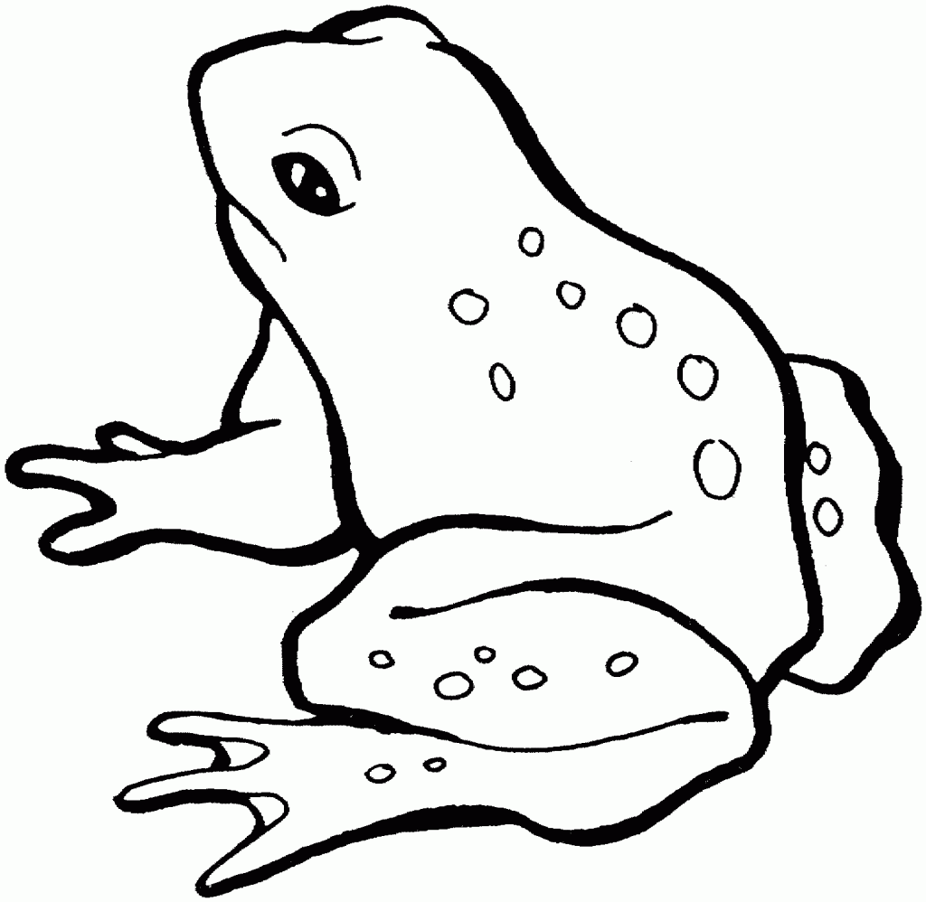 Frog Outline Free Download Clip Art Free Clip Art on