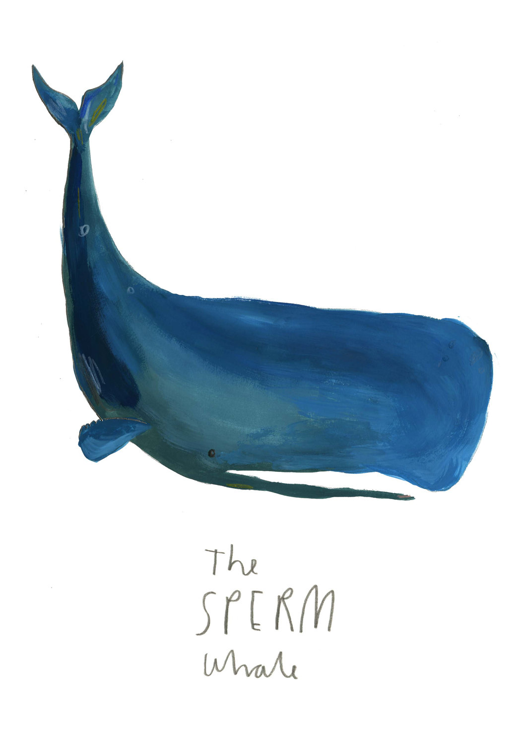 Sperm Whale Limited Edition Illustration print by FayeBradleyShop