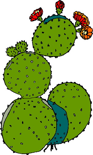 Cactus Clipart - Clipart library