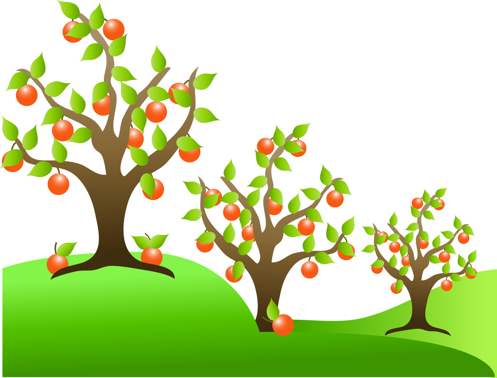 Images For  Clip Art Fruit Tree