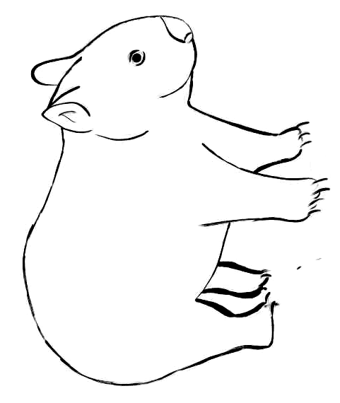 Free Cartoon Wombat, Download Free Cartoon Wombat png images, Free