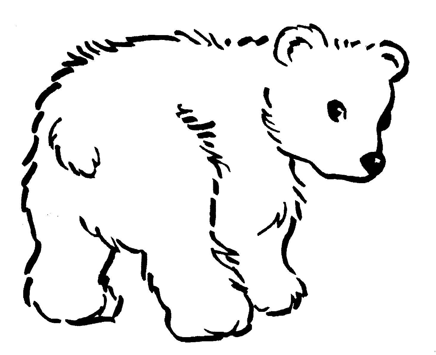 Images For  Black Bear Drawing Outline