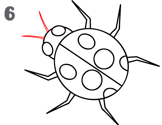 How To Draw a LadyBug - Step-by-Step