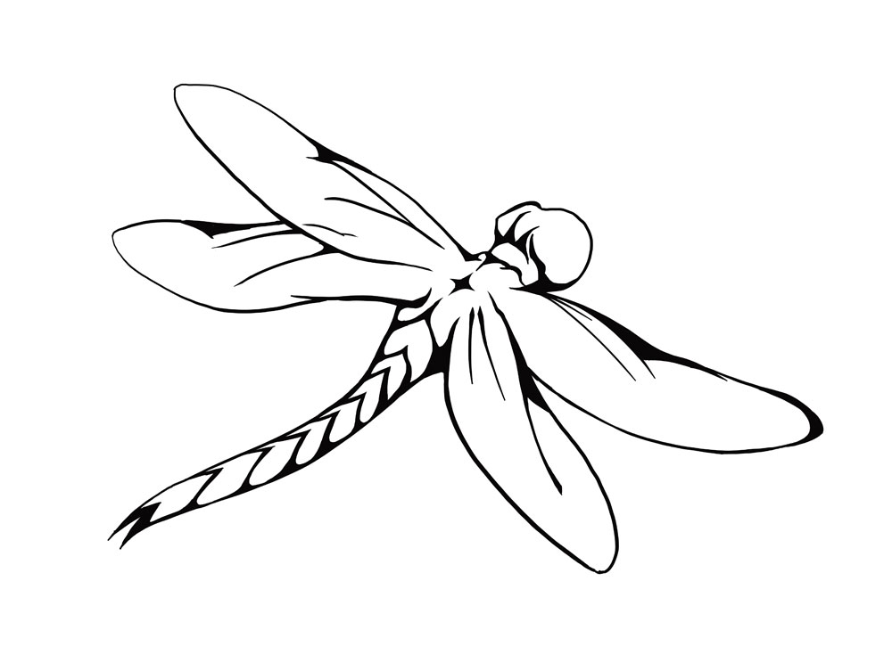Dragonfly Clipart Black And White.