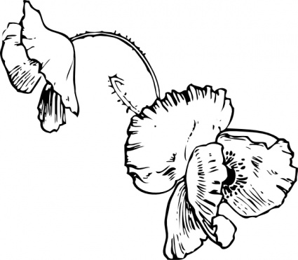 Dahlia Flower Tattoo Vector - Download 1,000 Vectors (Page 1)