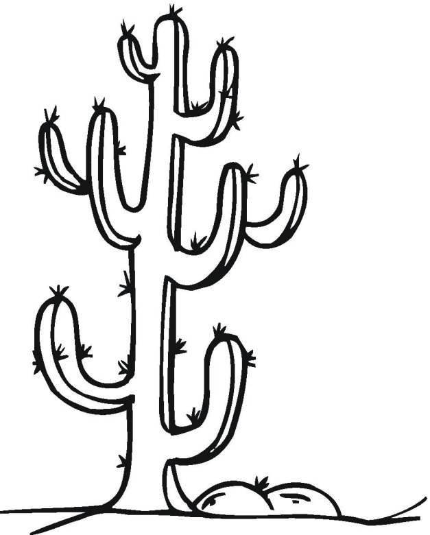 Free Cactus Coloring Pages