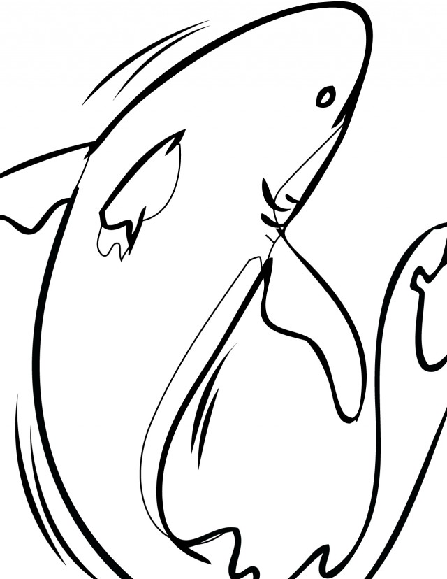 Bull Shark Coloring Page Handipoints 99902 Sharks Coloring Page