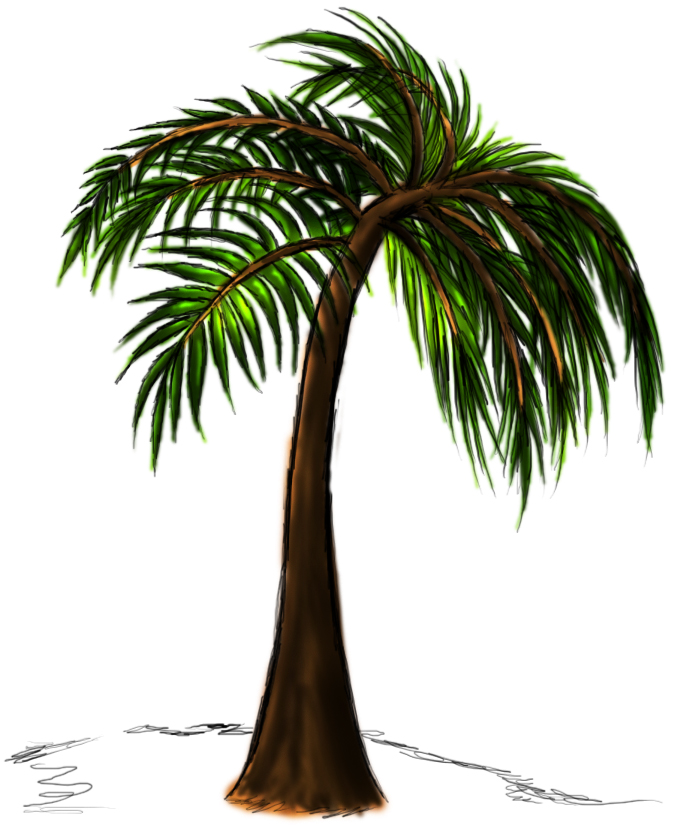 Free Palm Tree Drawing, Download Free Palm Tree Drawing png images