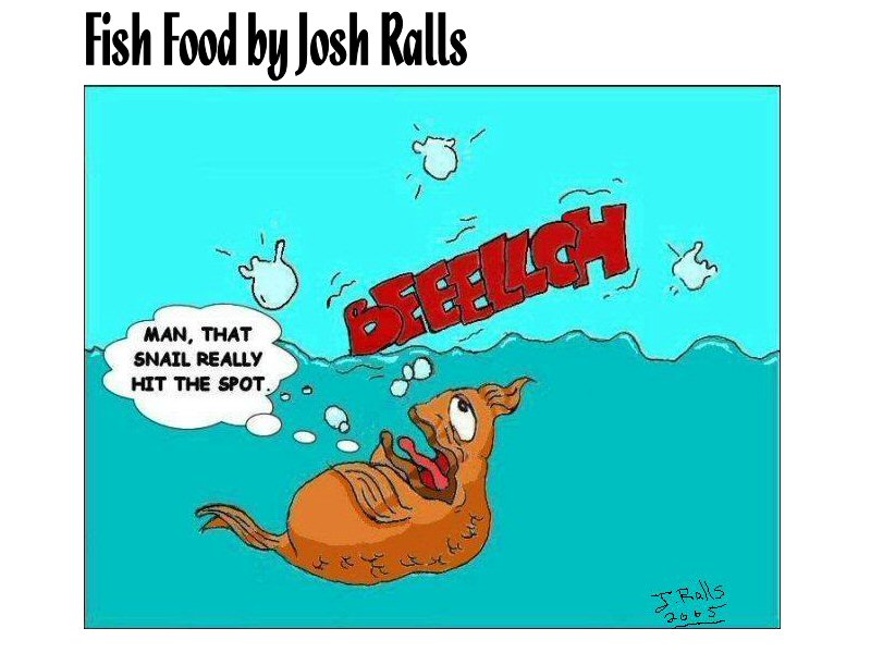 Fish Food Cartoon 