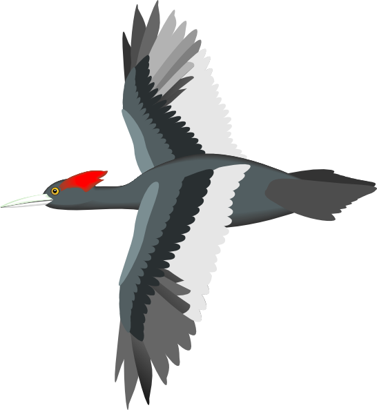 Flying Bird Clip Art at Clipart library - vector clip art online 