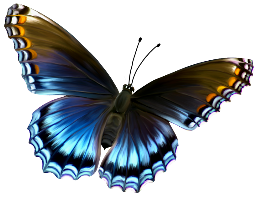 Beautiful Blue and Brown Butterfly PNG Clipart
