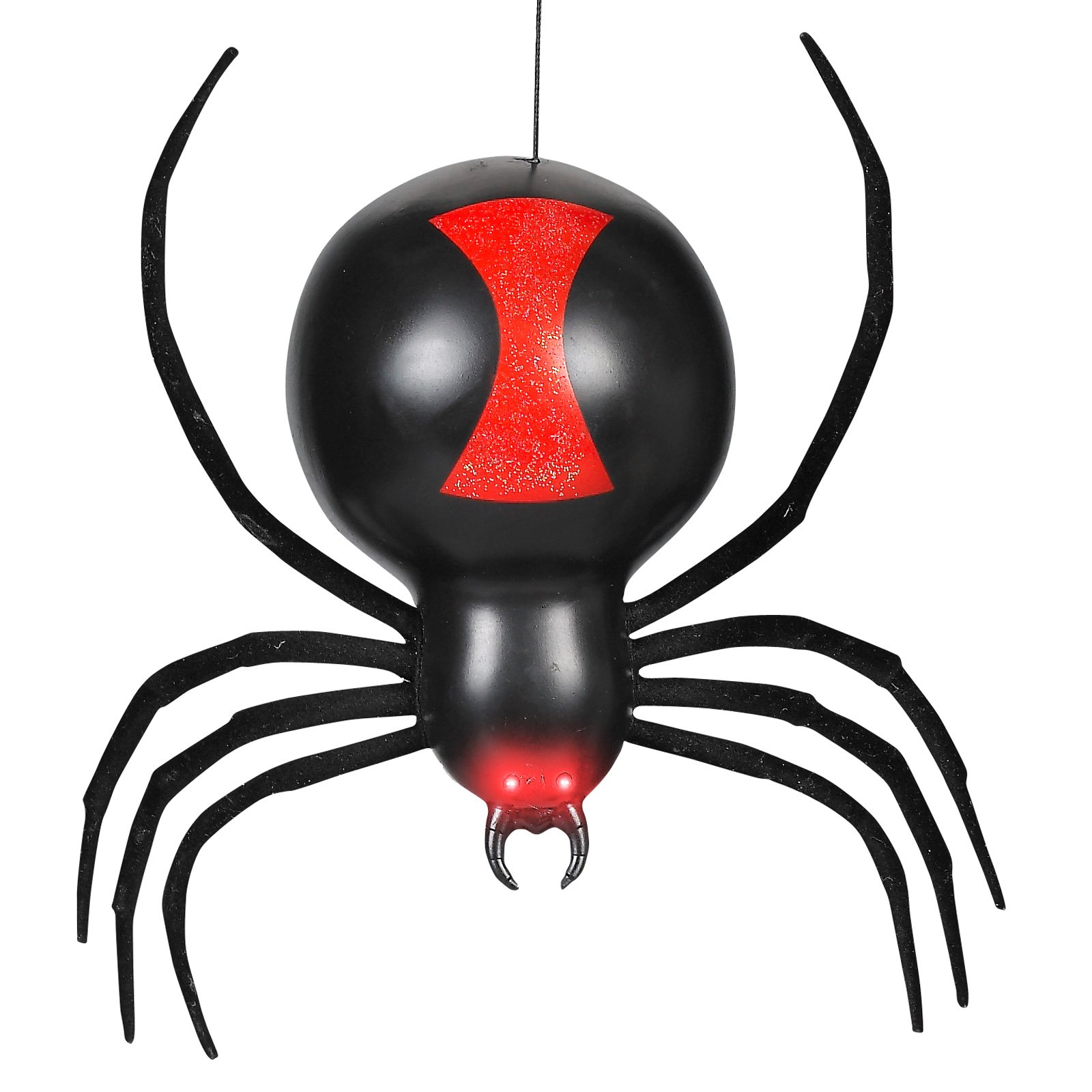 Black Widow Spider Eyes Images  Pictures - Becuo
