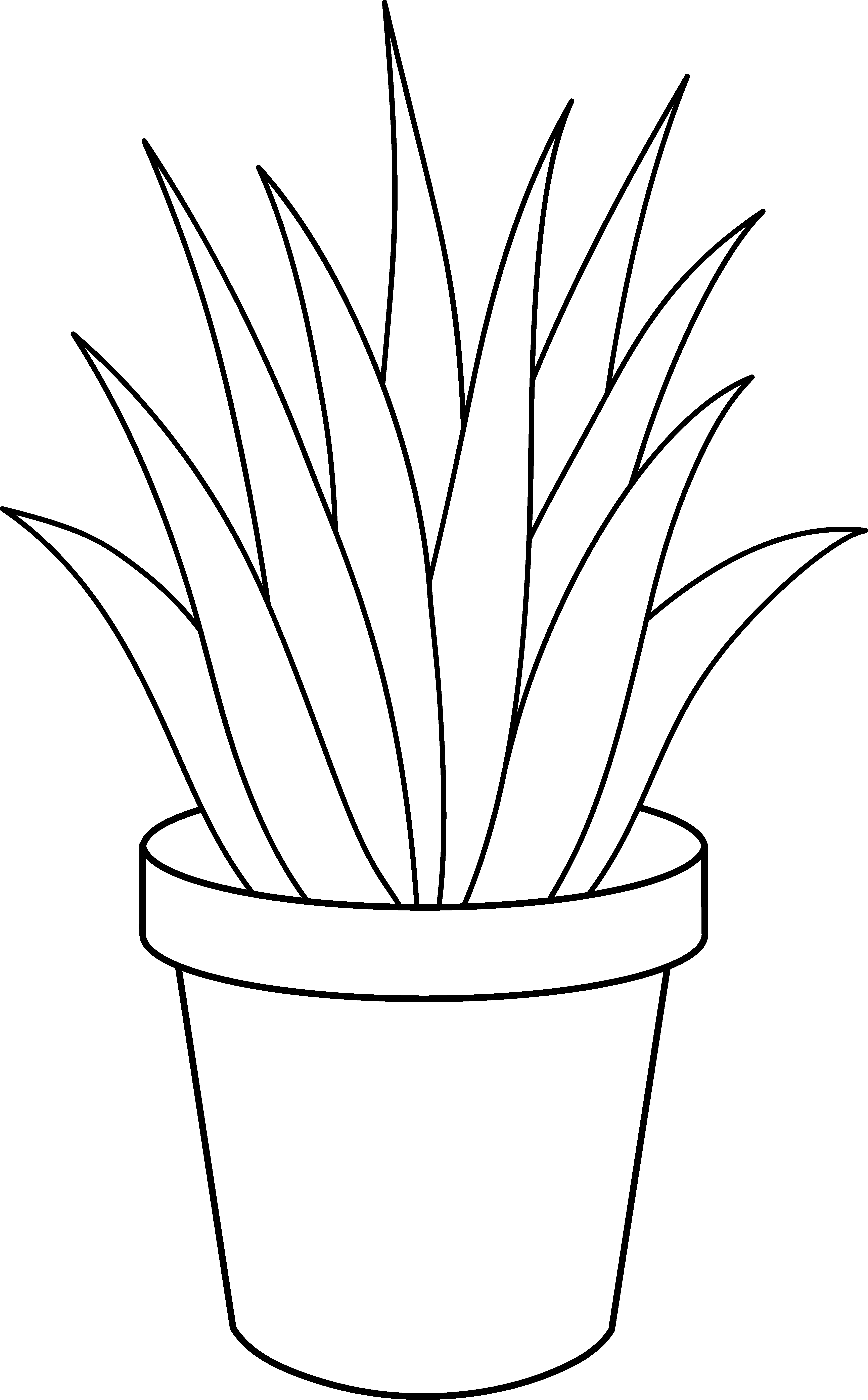 indoor plants clipart black and white - Clip Art Library