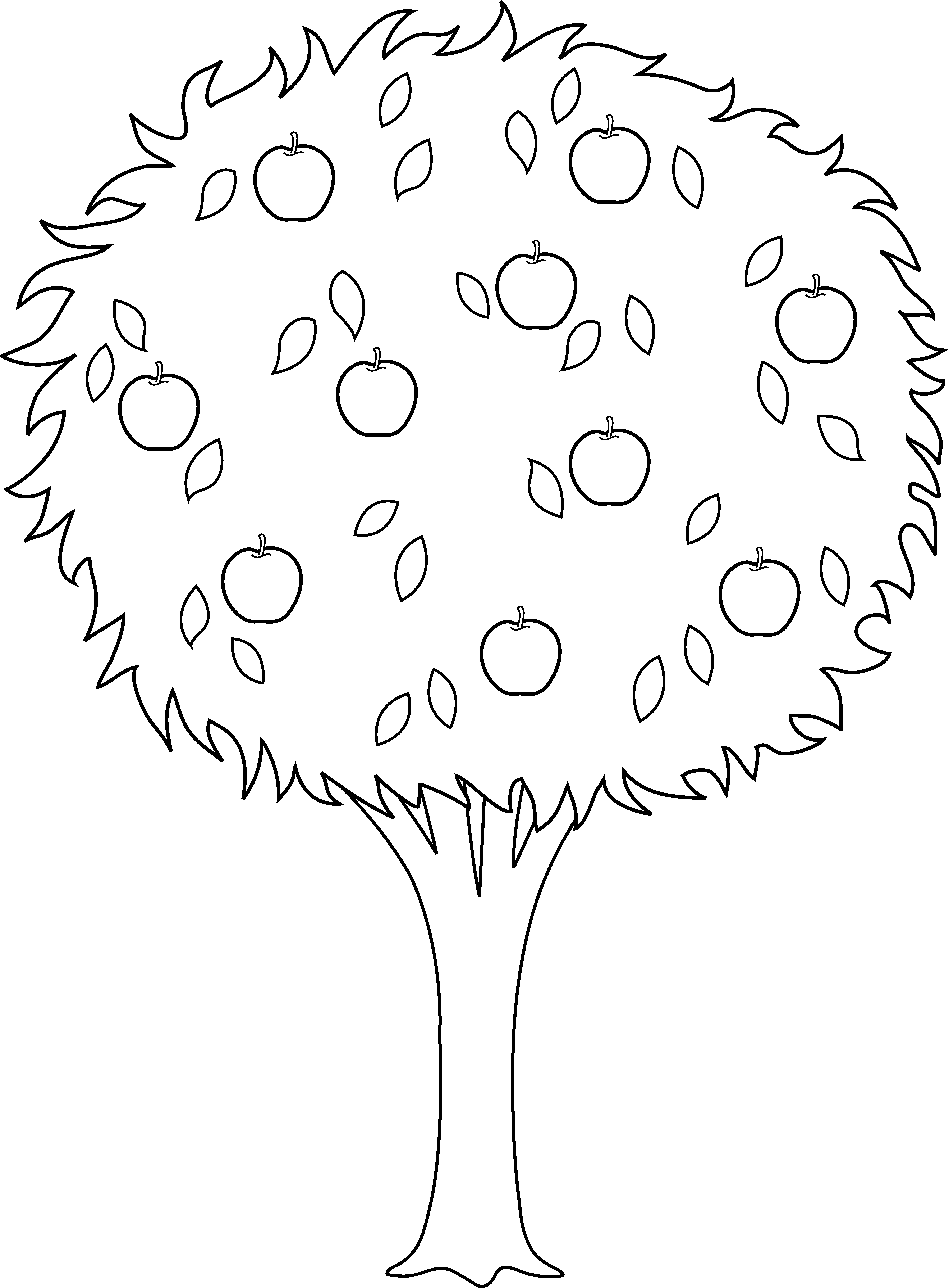 Free Outline Of Trees, Download Free Outline Of Trees png ...