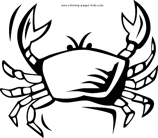 Small printable ocean animal coloring pages Mike Folkerth - King 