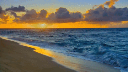 Free Animated Beach, Download Free Animated Beach png images, Free