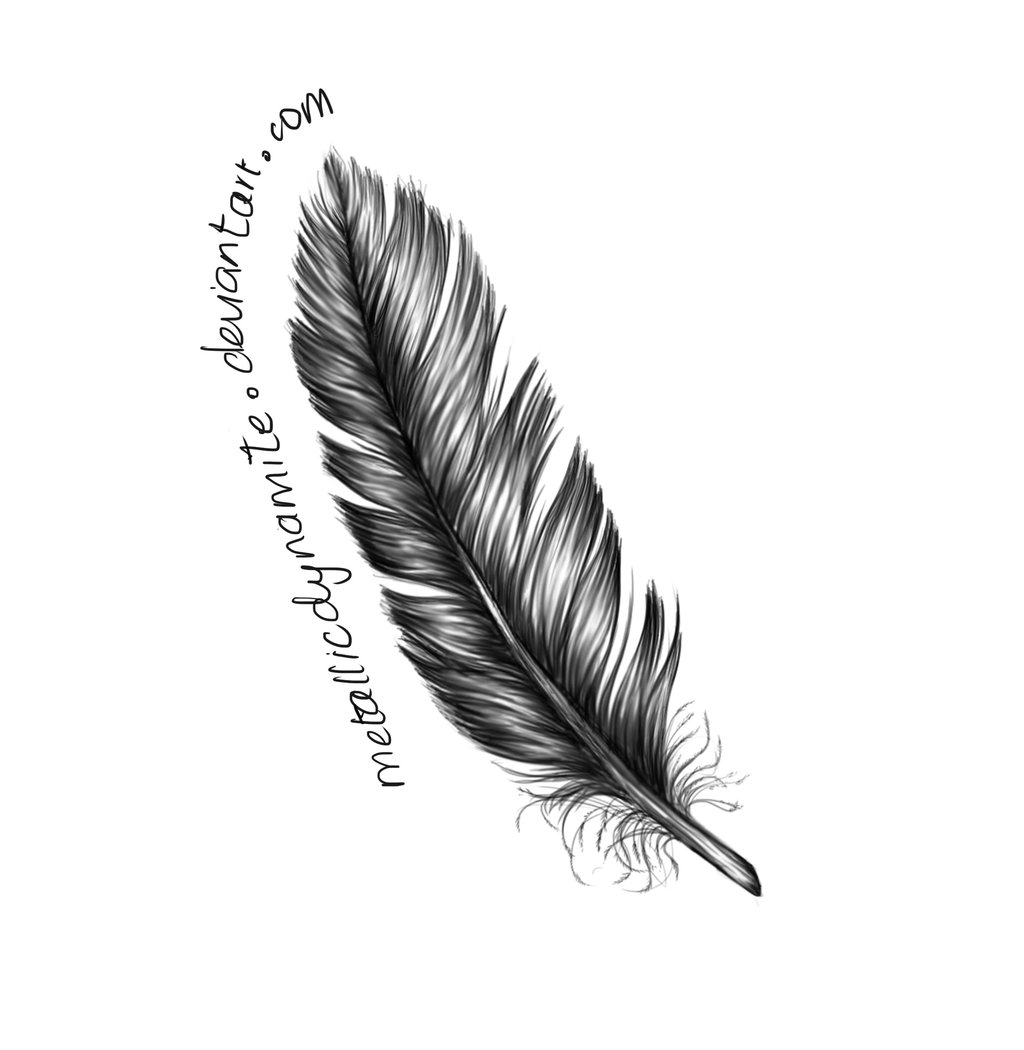Feather Drawing — Crafthubs