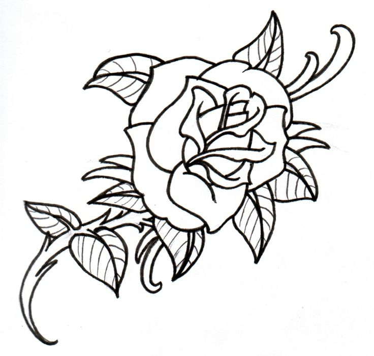 rose tattoos on Clipart library | Rose Outline, Rose Outline Tattoo and Rose