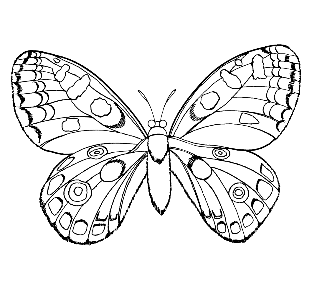 insects coloring pages butterflies id 65569 : Uncategorized - yoand.