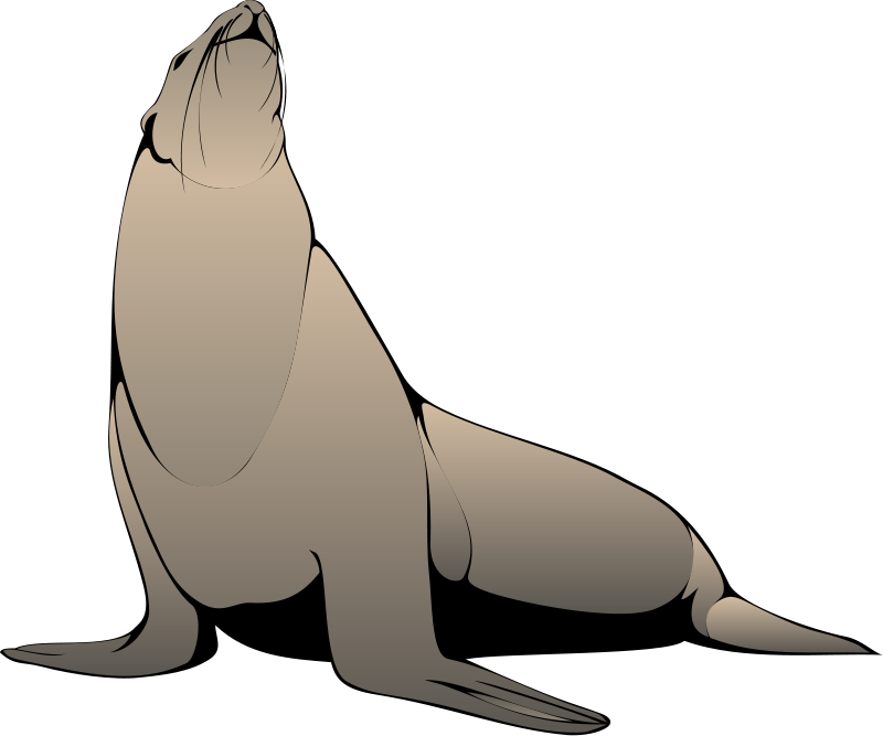 Seal Animal Clipart Pictures Royalty Free | Clipart Pictures Org