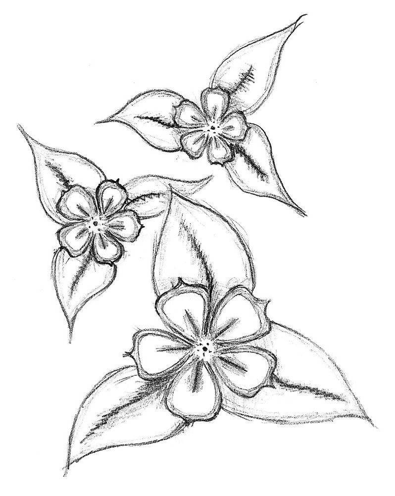 step by step easy flower drawing - Clip Art Library