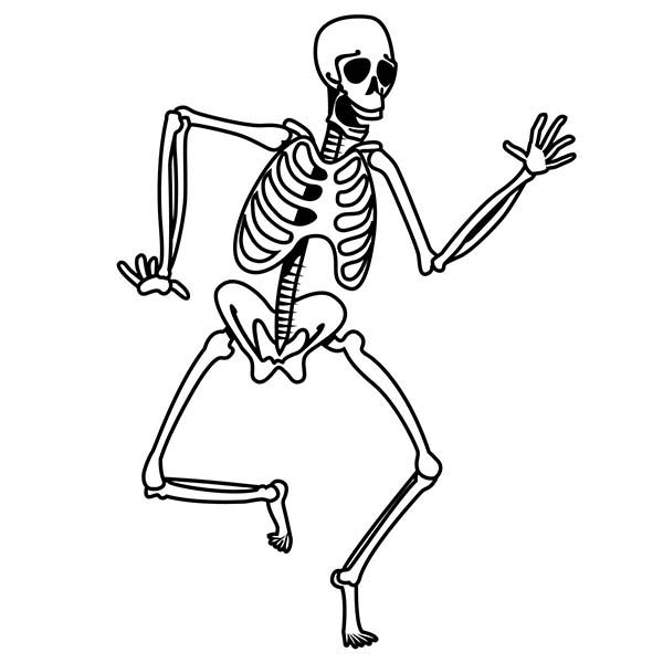 basic easy skeleton drawing for kids Clip Art Library