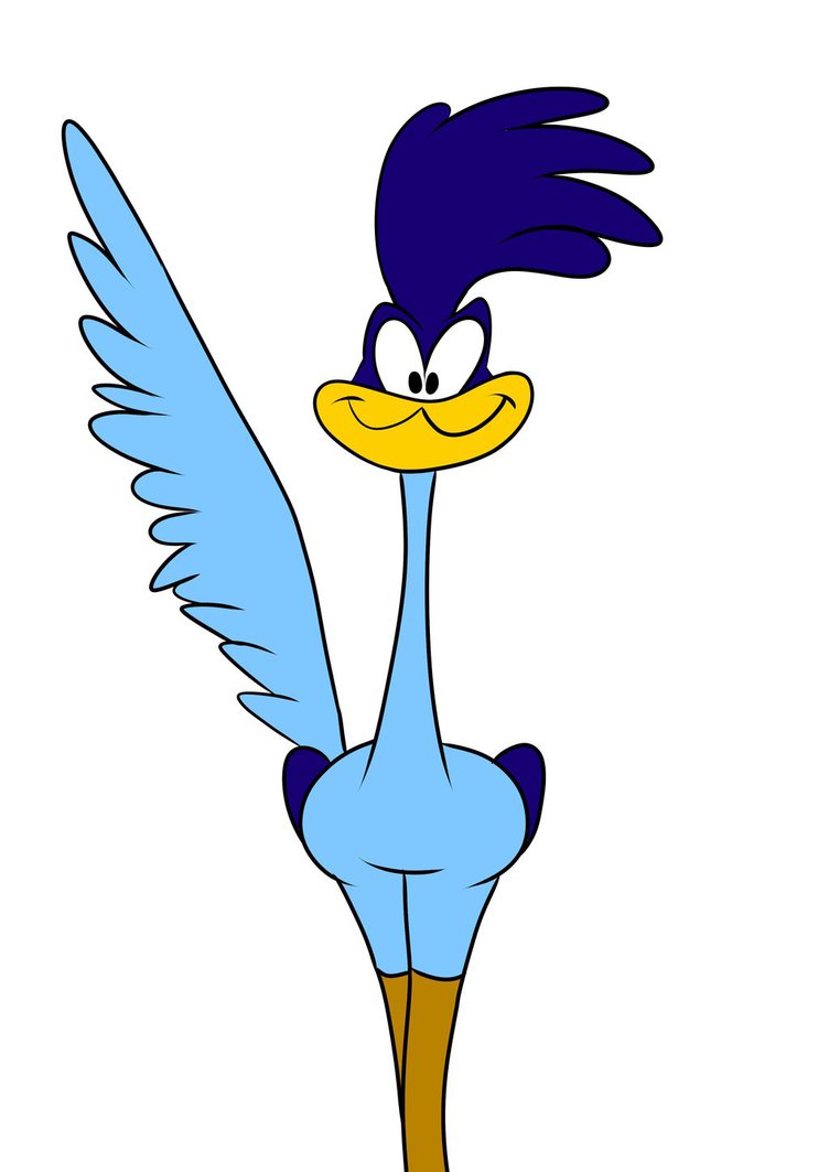 road runner cartoon