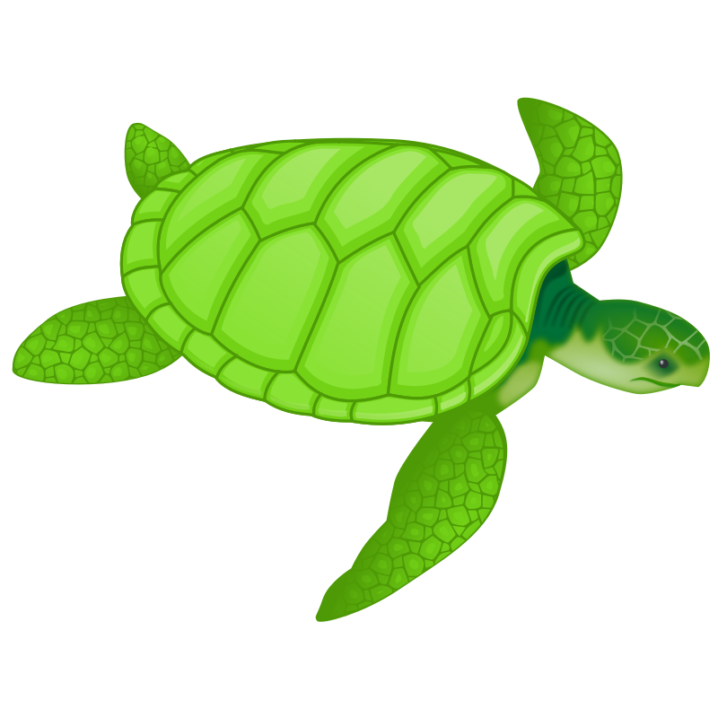 Ocean Animal Facts! - Clip Art Library