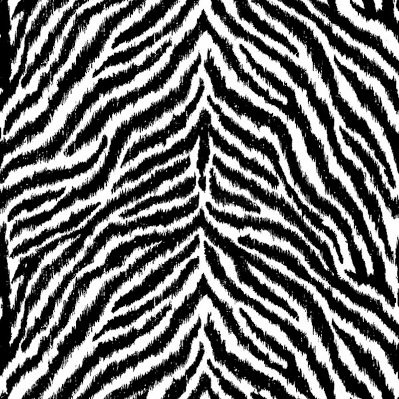 Image gallery for : zebra print wallpaper for walls