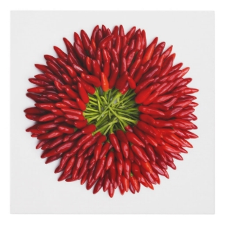 Chili Pepper Art, Chili Pepper Paintings  Framed Artwork by Chili 