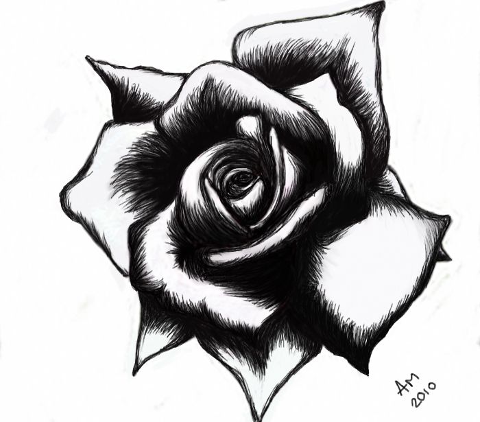 white rose. tattoo template | Optimus | Clipart library