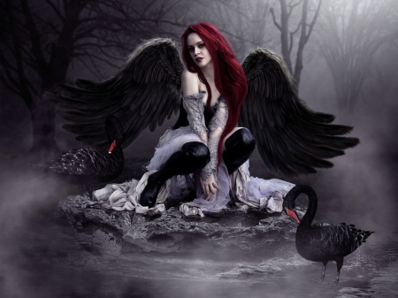Black Swan Angel - Fantasy  Abstract Background Wallpapers on 