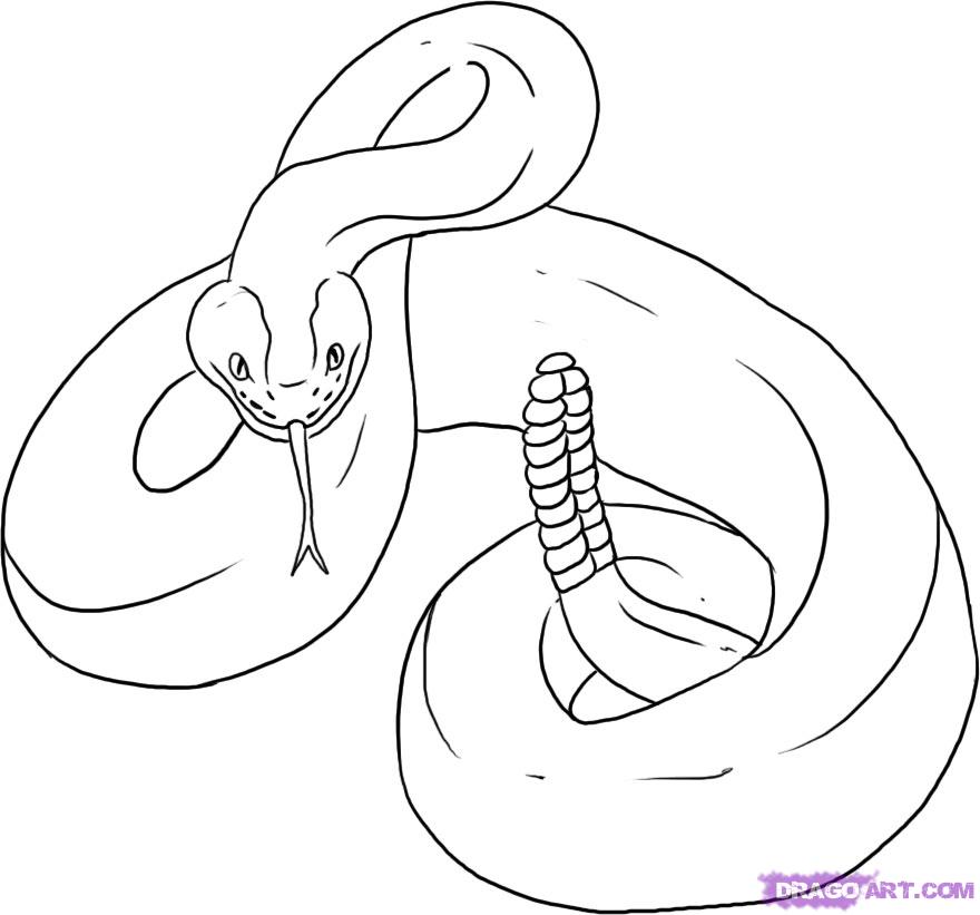 sidewinder snake drawing