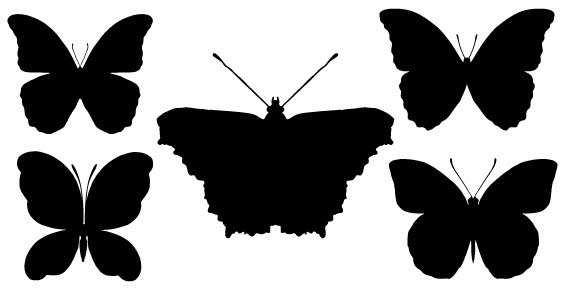 Vector Butterflies 