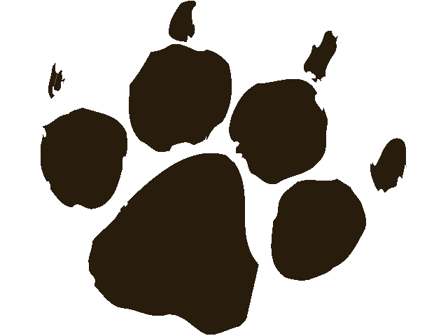 Pic Of Dog Paw - Clipart library